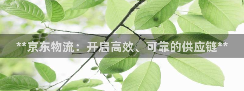 28圈开奖预测