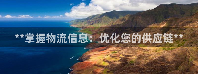 28圈取保：**掌握物流信息：优化您