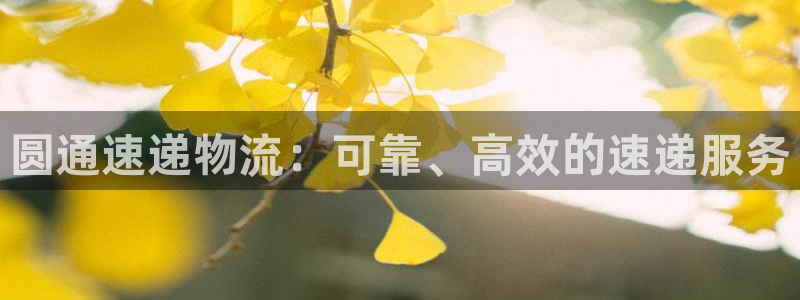 28圈正规吗?：圆通速递物流：可靠、