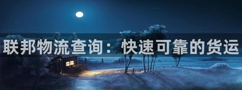 28圈哪个最赚钱：联邦物流查询：快速
