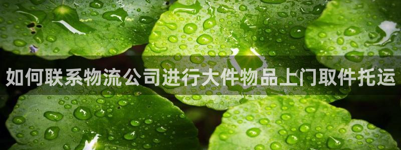 28圈h5链接