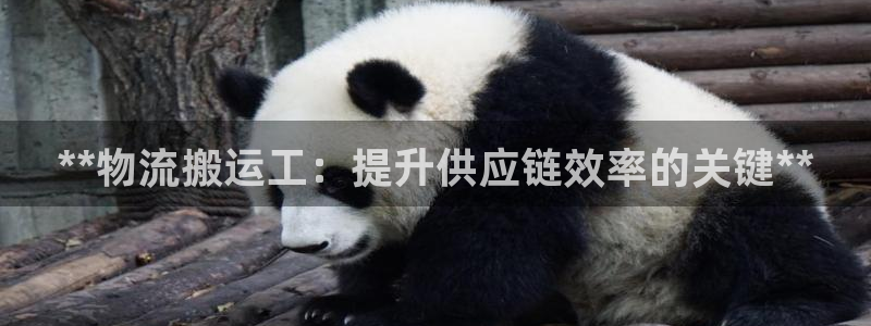 28圈充值方式