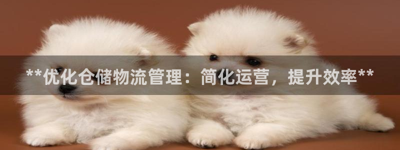 28圈口：**优化仓储物流管理：简化