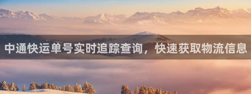28圈网站平台：中通快运单号实时追踪