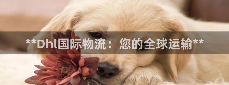 28圈预测加拿大：**Dhl国际物流