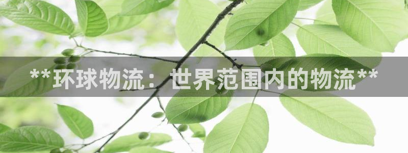 28圈推广链接是多少钱一个：**环球
