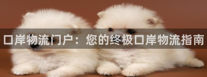 28圈APP是干什么的：口岸物流门户