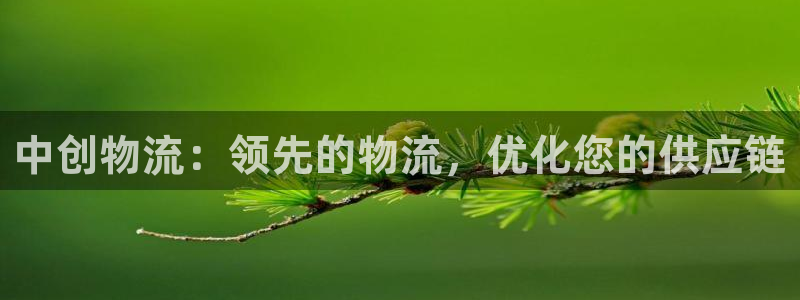 28圈绿骨头：中创物流：领先的物流，
