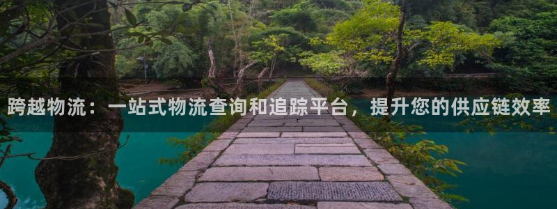 28圈注册限制怎么解除：跨越物流：一