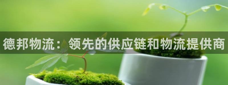 28圈反水什么时候到：德邦物流：领先