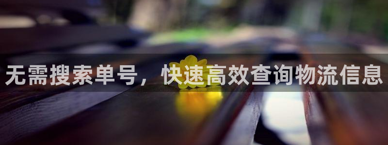 28圈连接：无需搜索单号，快速高效查