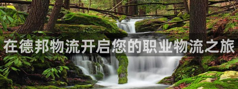 28圈加拿大真假怎么看：在德邦物流开