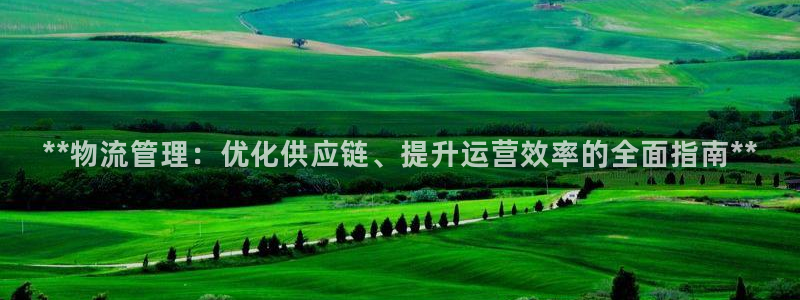 28圈模拟器下载