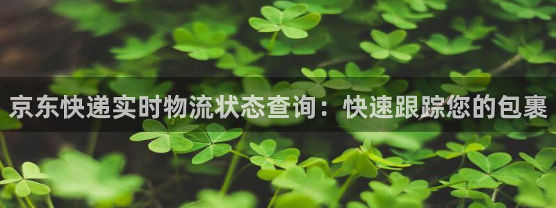 28圈预测网：京东快递实时物流状态查