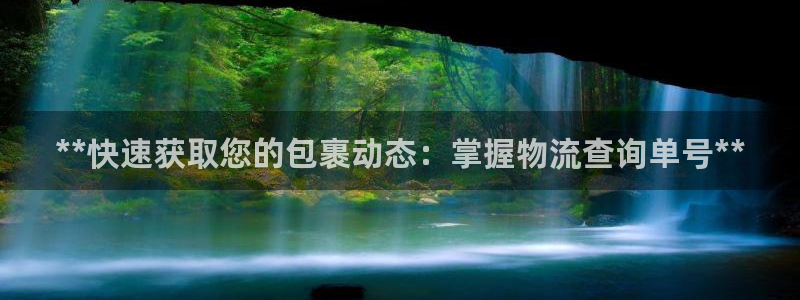 28圈加拿大走势：**快速获取您的包