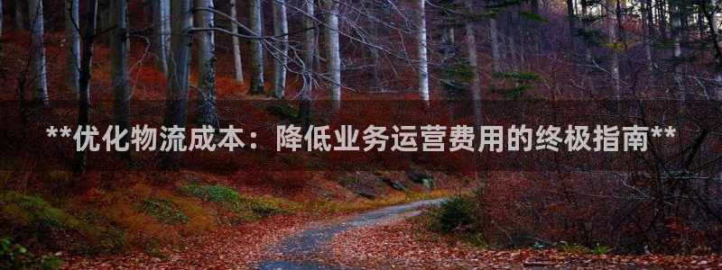28圈注册教程：**优化物流成本：降