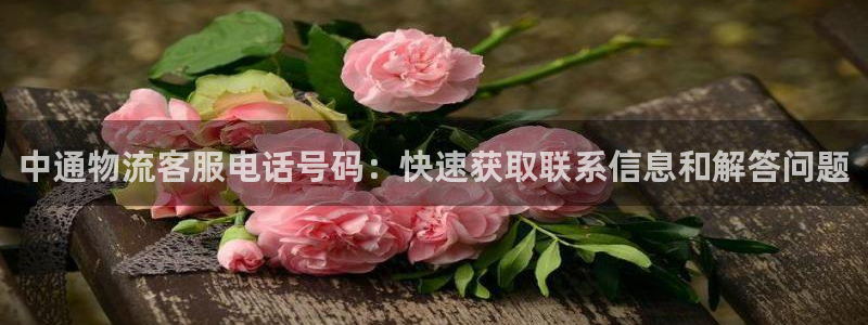 28圈麻将胡了爆分视频：中通物流客服