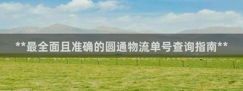 28圈充值不到账