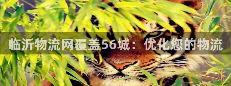 28圈app怎么注册账号：临沂物流网