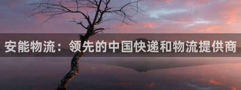 28圈平台注册：安能物流：领先的中国
