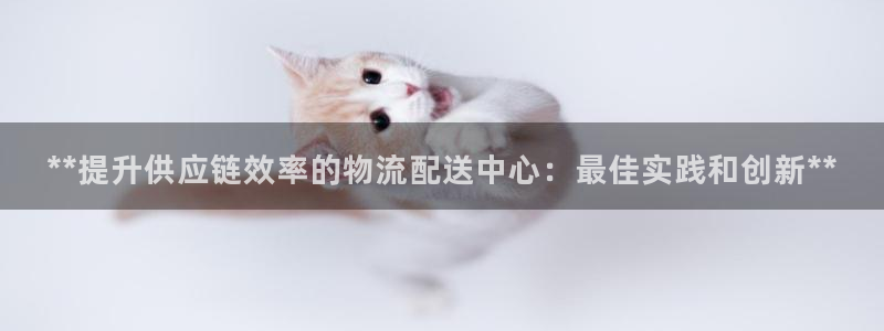 28圈加拿大是什么