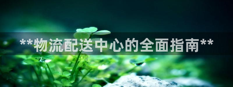 28圈注册网站加拿大：**物流配送中