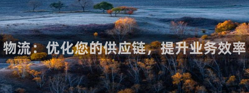 28圈注册网站链接：物流：优化您的供