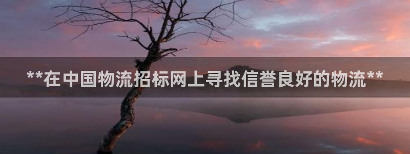 28圈里的财神：**在中国物流招标网