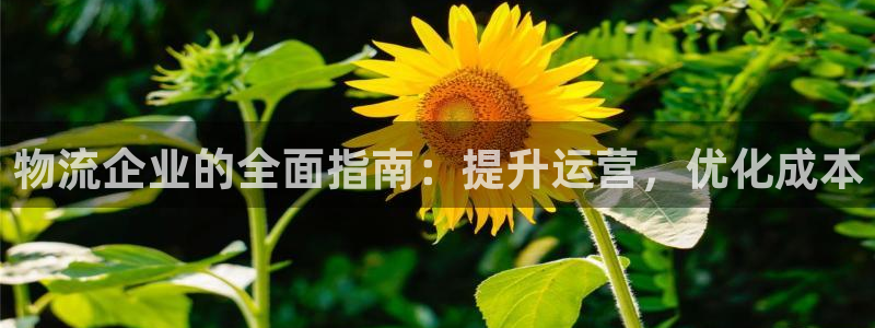 28圈官方网站预测