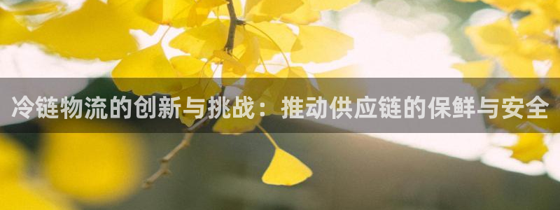 28圈加拿大能提现吗