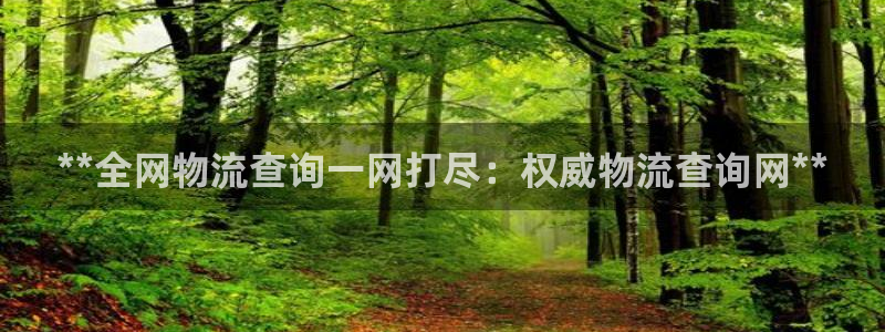 28圈怎么下载教程