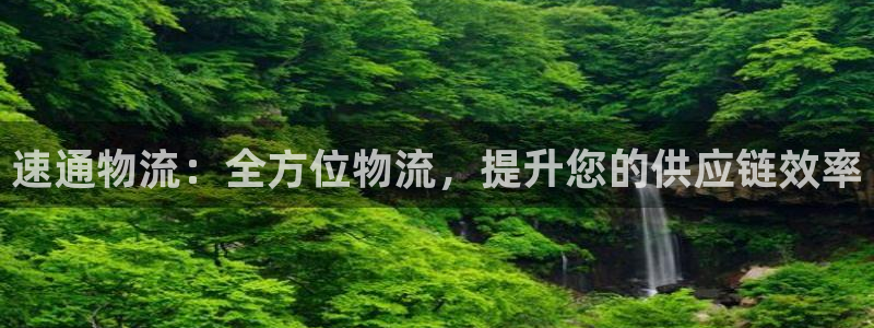 加拿大28圈注册链接：速通物流：全方