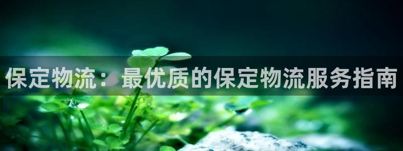 28圈注册：保定物流：最优质的保定物