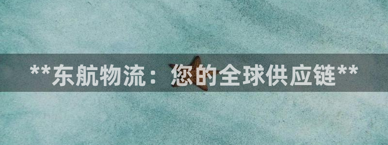 28圈提现不到账：**东航物流：您的