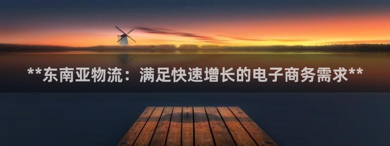 28圈注册地址：**东南亚物流：满足