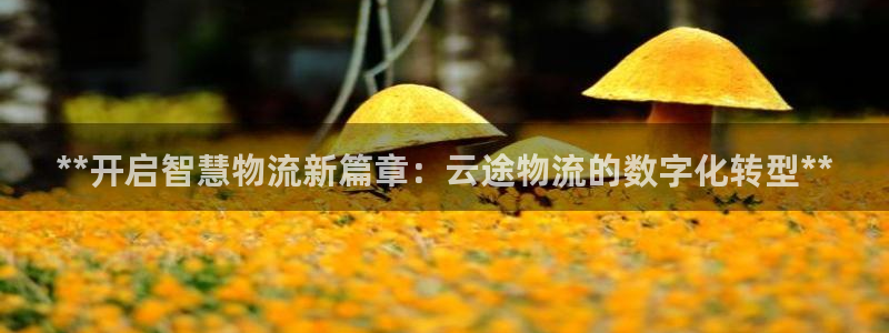 28圈预测加拿大师准
