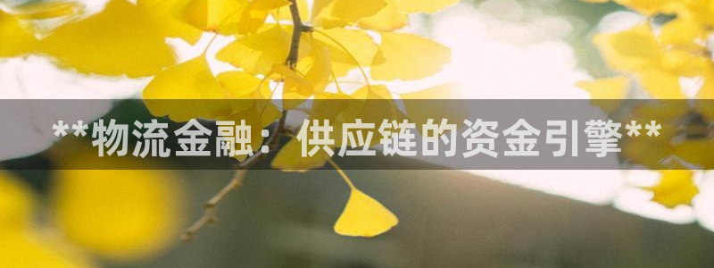28圈连输10天：**物流金融：供应
