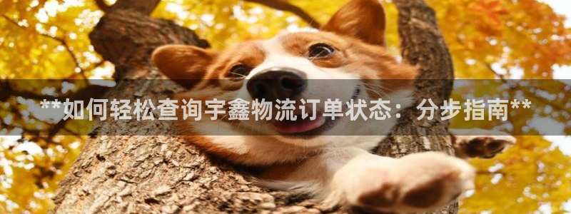 28圈注册教程：**如何轻松查询宇鑫