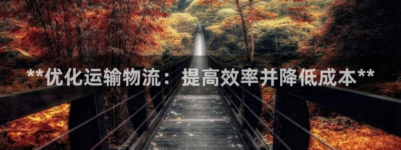 28圈注册平台：**优化运输物流：提