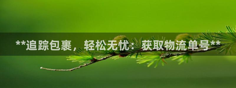 28圈人头费：**追踪包裹，轻松无忧