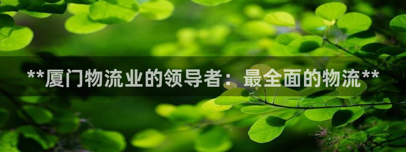 28圈p扣除