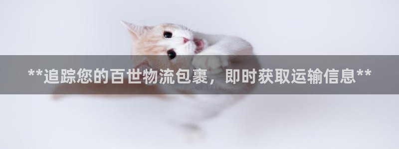 28圈模拟