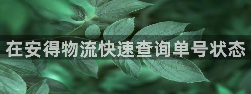 28圈圈助手