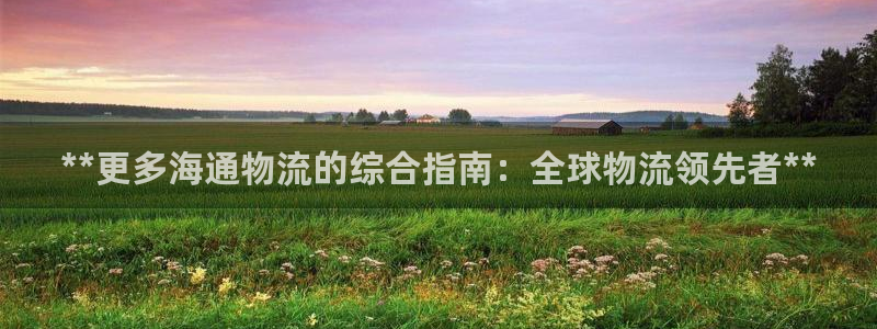 28圈充值不到账怎么回事