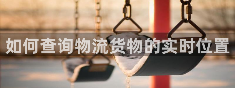 28圈在线预测：如何查询物流货物的实