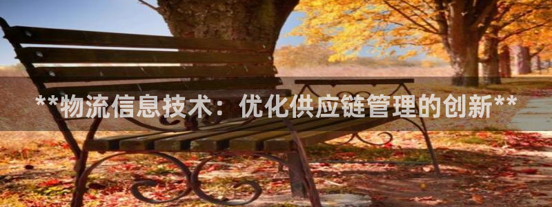 28圈登录网：**物流信息技术：优化