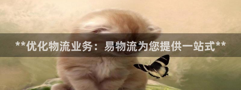 28圈注册送：**优化物流业务：易物