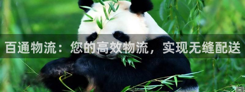 28圈注册网页版：百通物流：您的高效