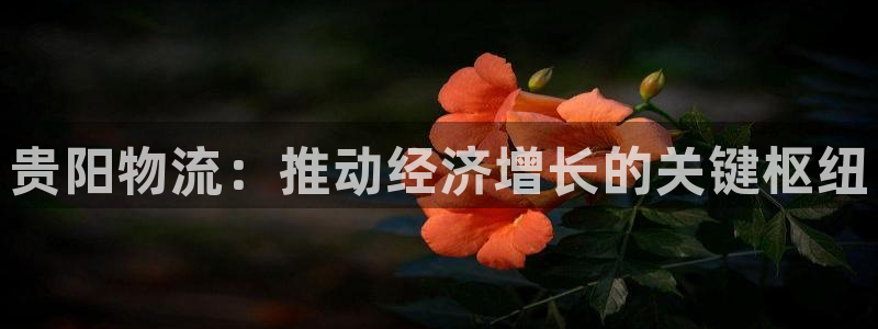 28圈注册网站多少：贵阳物流：推动经