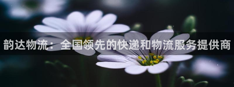 28圈注册教程：韵达物流：全国领先的